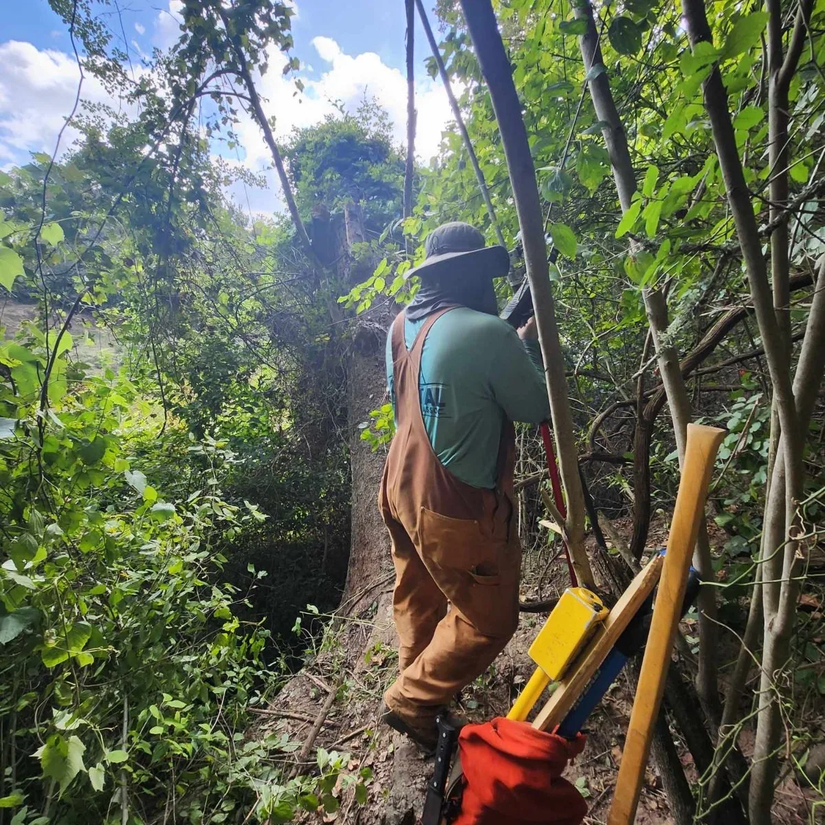Steubing LLC Land Surveying project photo